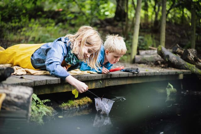 Believe It or Not, Kids Actually Want to Get Off Their Phones—Dr. Jonathan Haidt Says He Has Proof
