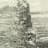 After Babel